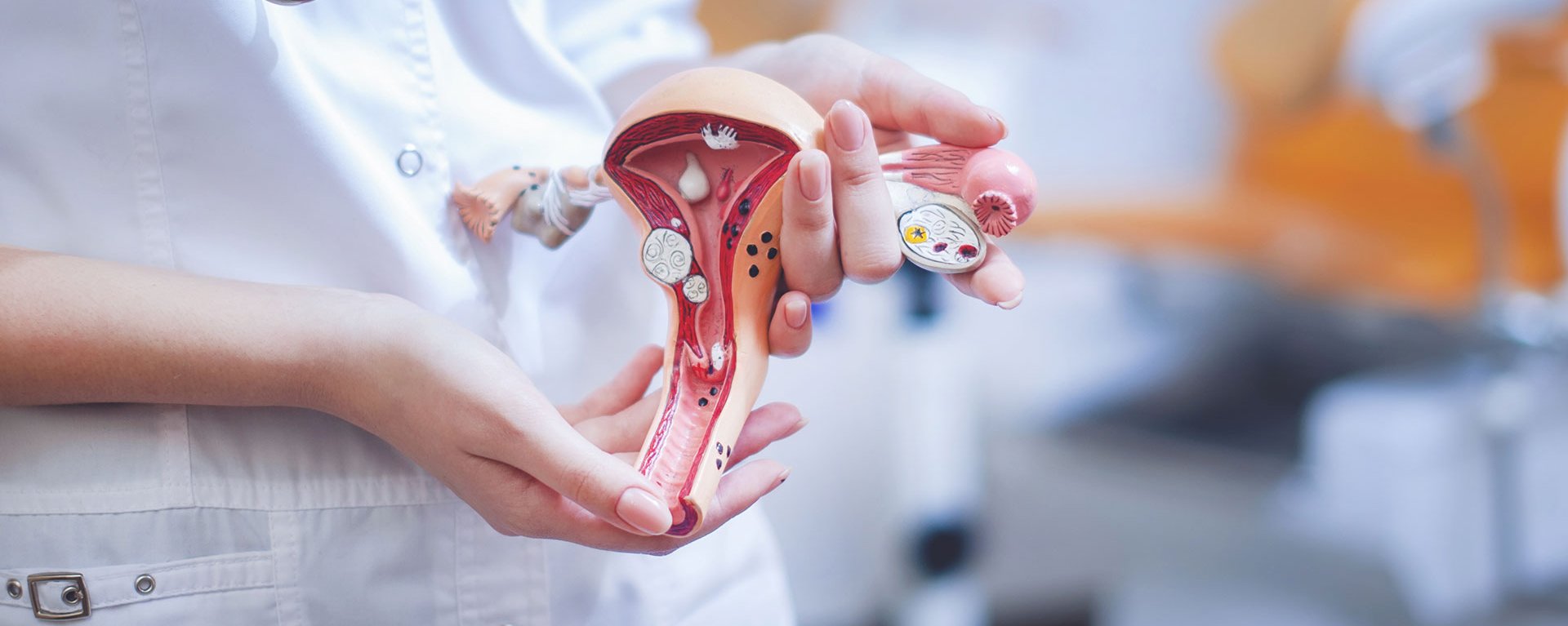 Eine Gynäkologie Ärztin des Klinikverbunds Allgäu zeigt ein Beispiel eines Organs.